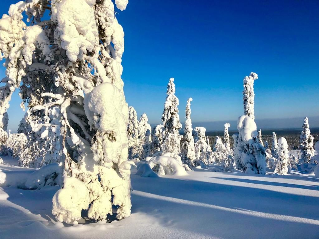 Дома для отпуска Tunturimaja Ski in with sauna- Pyhä center Пухатунтури-57