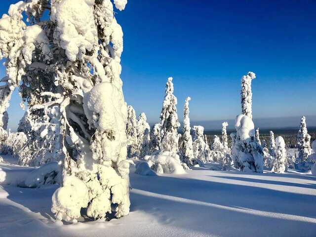 Дома для отпуска Tunturimaja Ski in with sauna- Pyhä center Пухатунтури-12